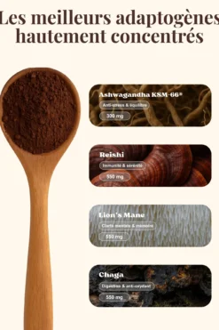 Alternative Café Adaptogène – Gout Chaï Cacao