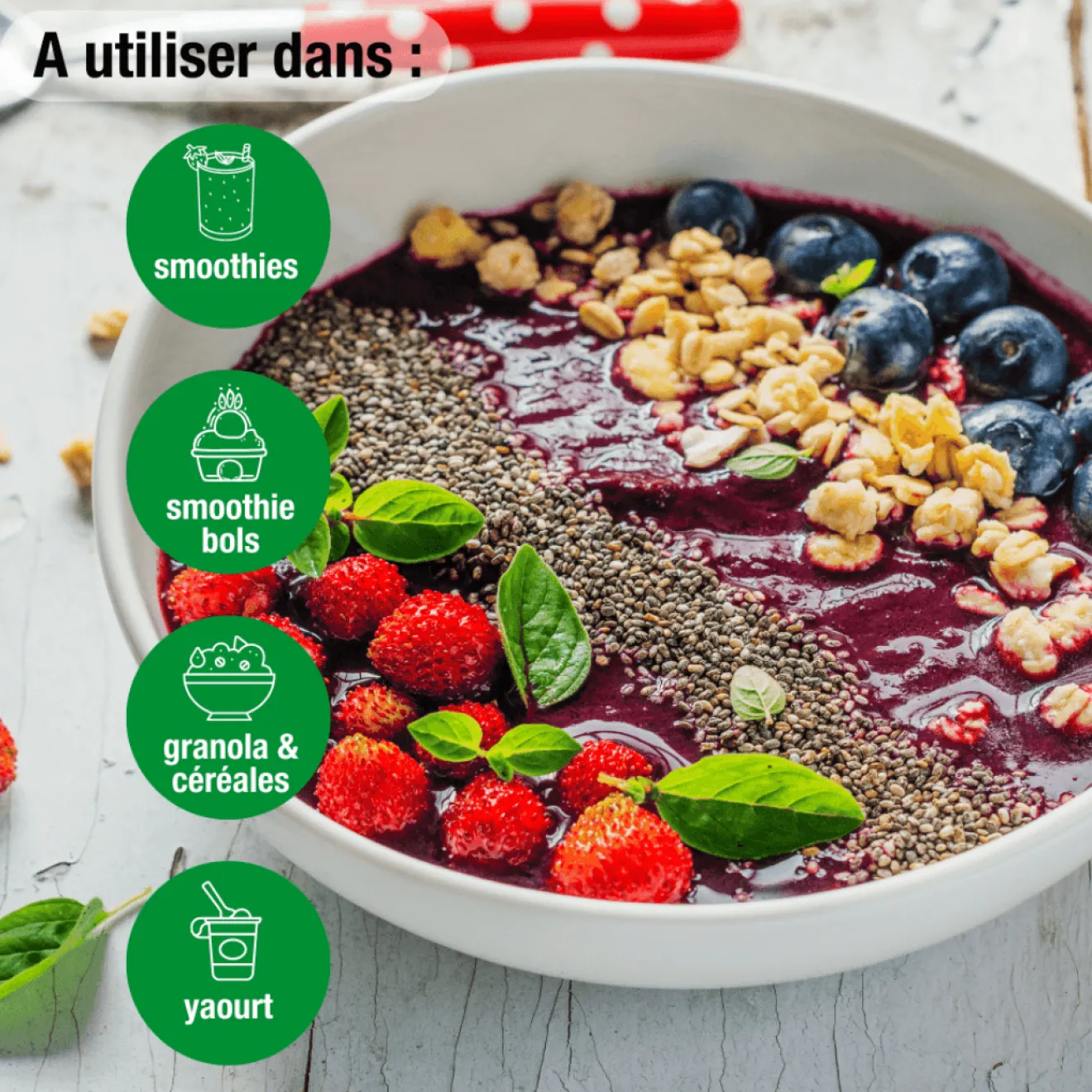 Aronia vegan poudre Bio