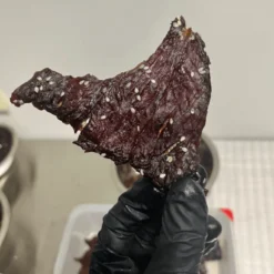 Boeuf Séché Belge Teriyaki