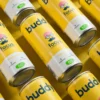 Boisson Energie Citron Gingembre Bio