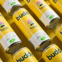 Boisson Energie Citron Gingembre Bio