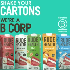Boisson Noix Coco Riz Bio
