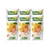 Briquettes Jus Orange Bio