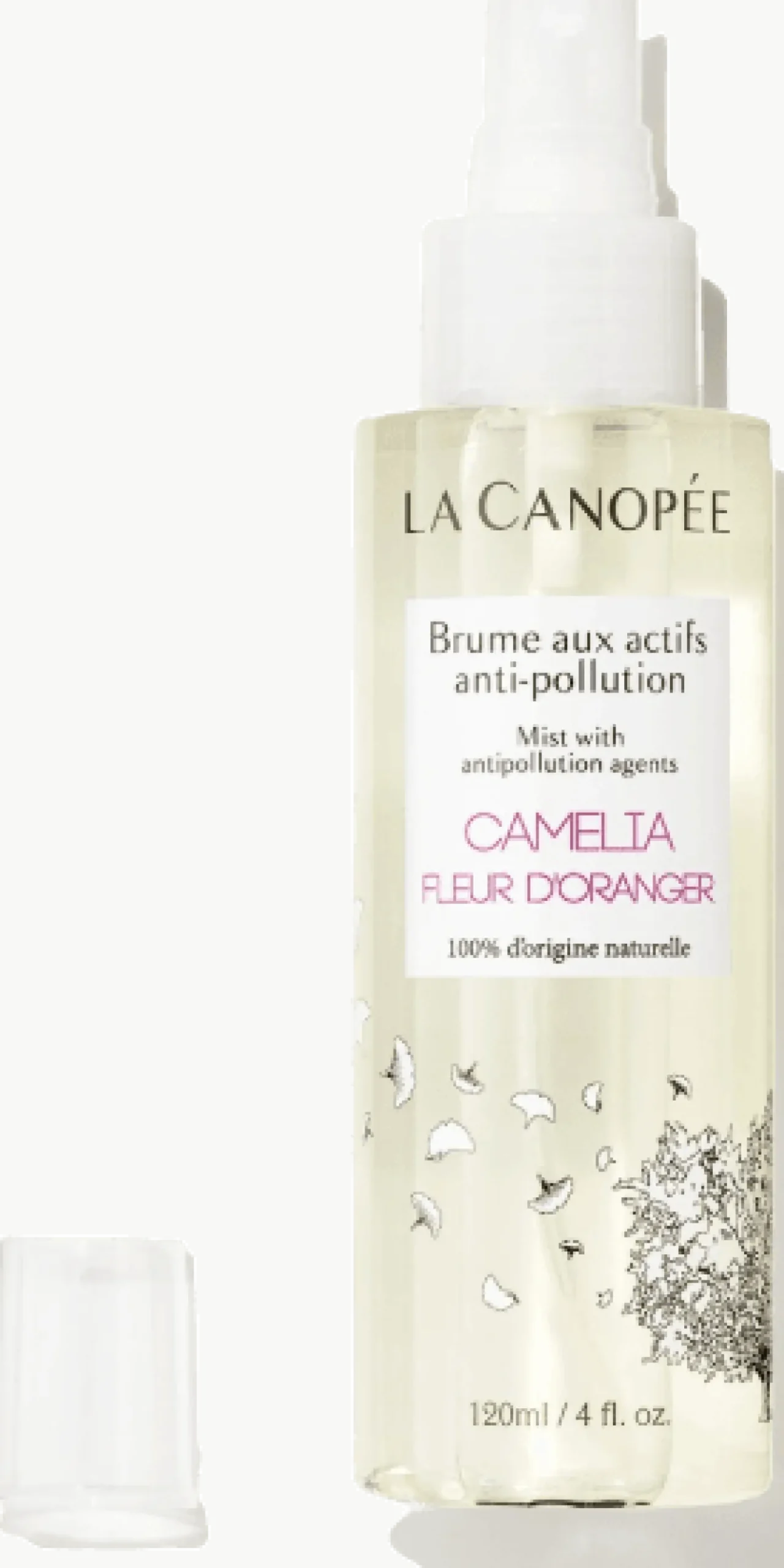 Brume Actifs Anti-Pollution