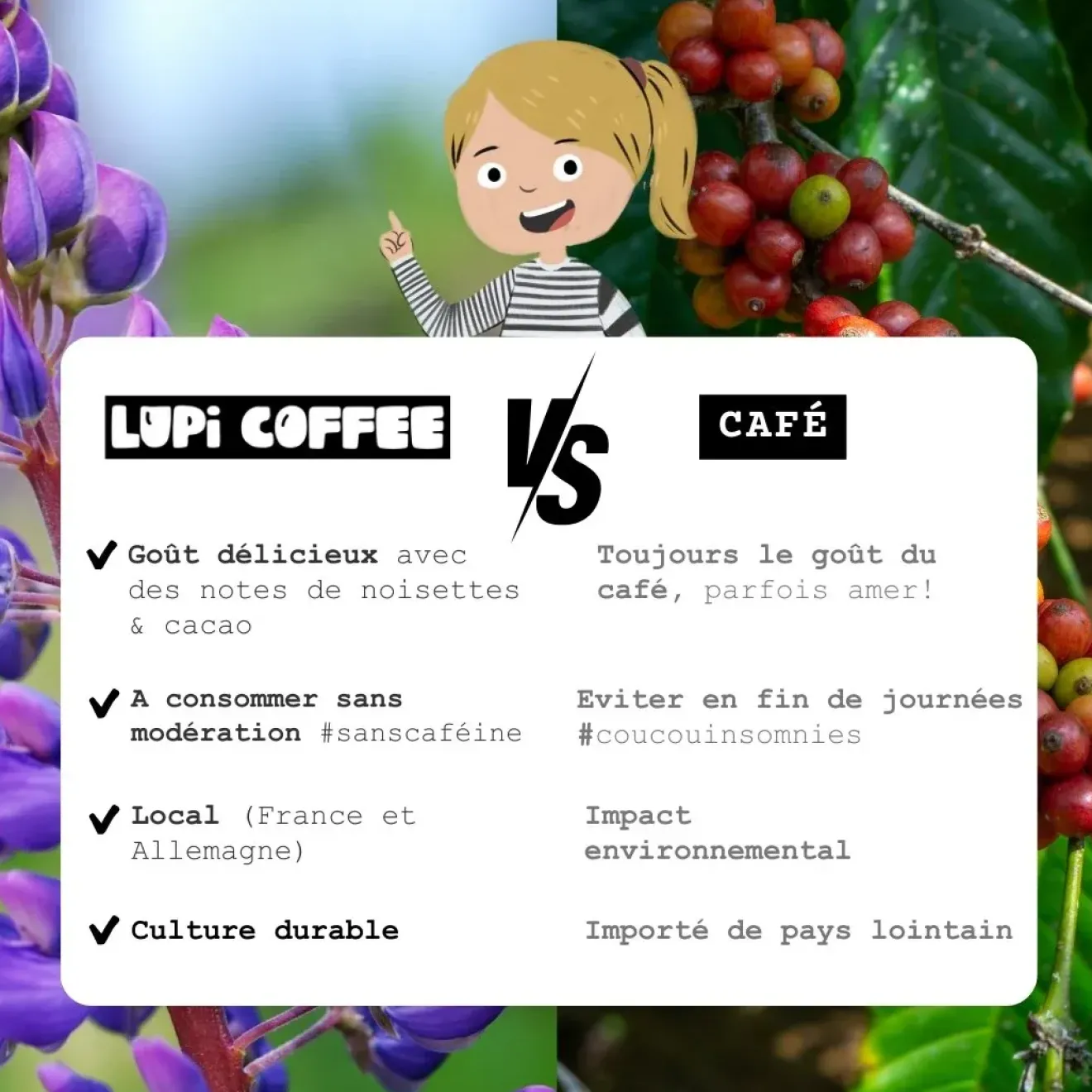 Café de lupin noir moulu Bio