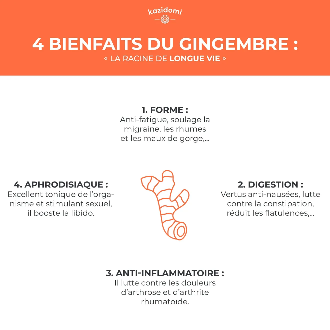 Concentré Gingembre Bio