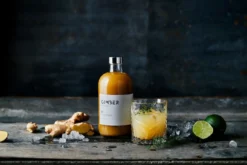 Concentré Gingembre Bio