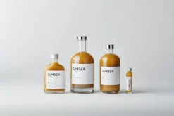 Concentré Gingembre Bio