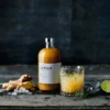 Concentré Gingembre Bio