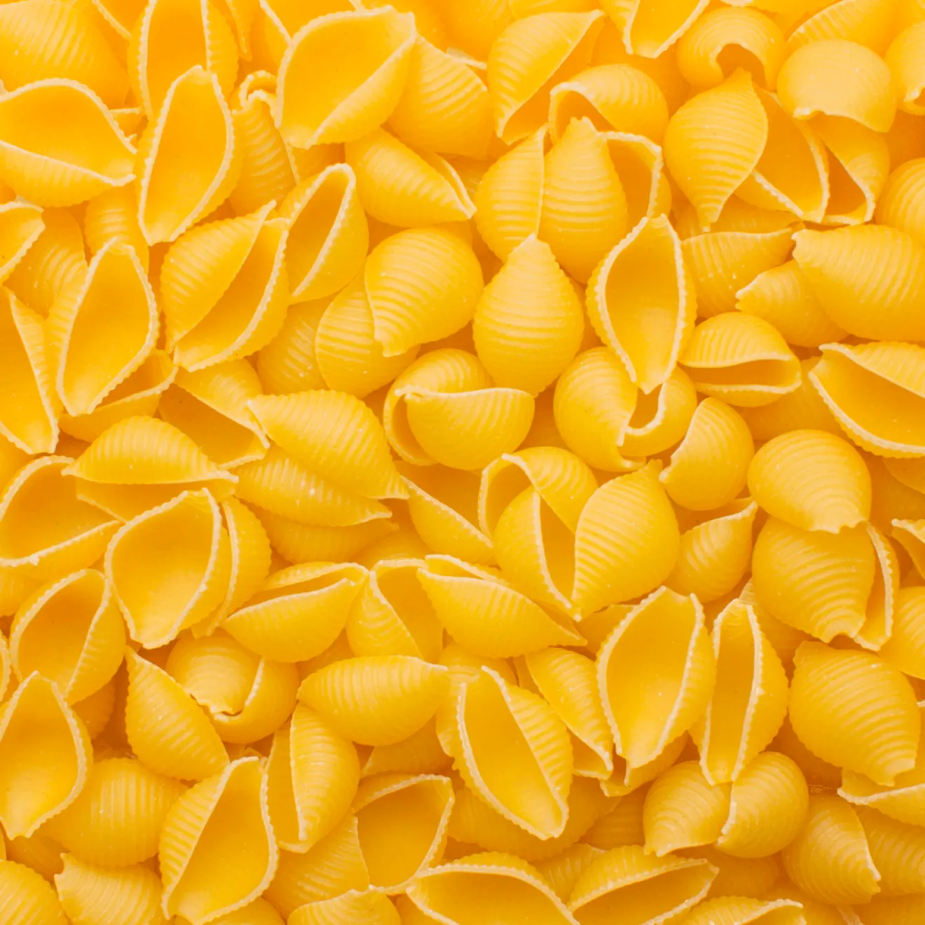 Conchiglie Blé Dur Bio