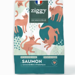 Croquettes Chat Adulte Saumon Sans Céréales