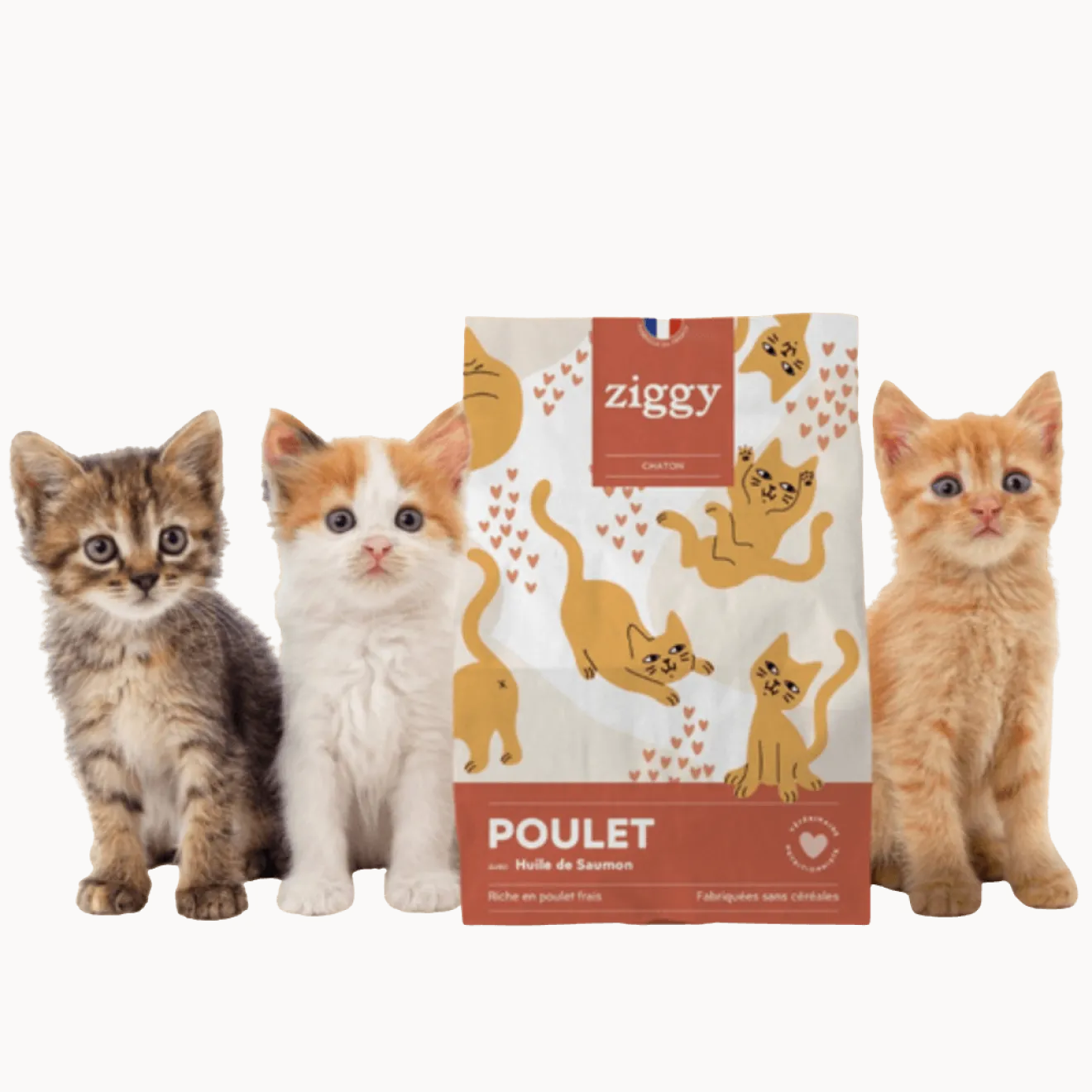 Croquettes Poulet Huile de Saumon Sans Céréales Chaton
