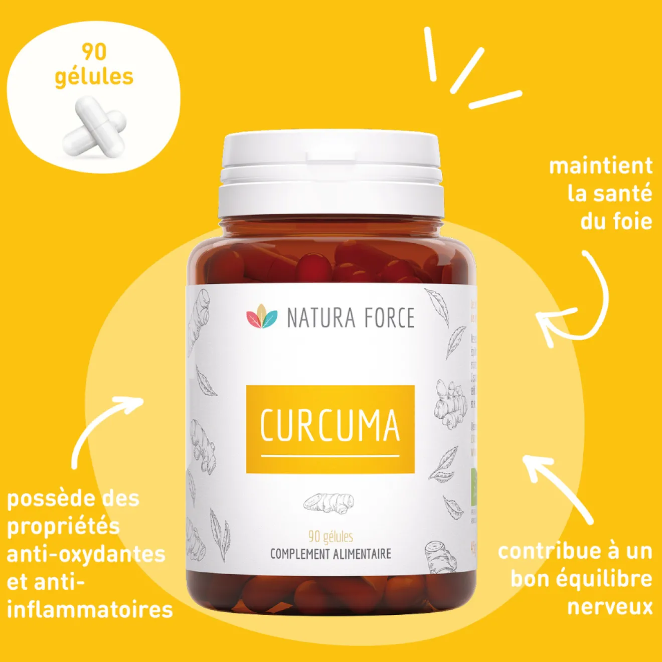 Curcuma Bio