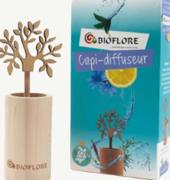 Diffuseur par Capilarité
