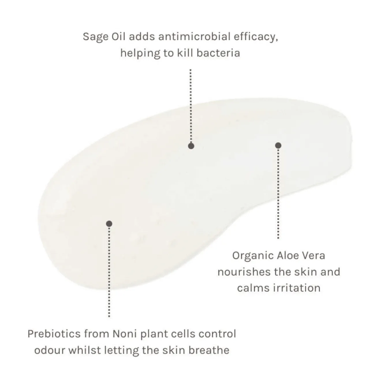 Déodorant Roll-On Prébiotiques Bio
