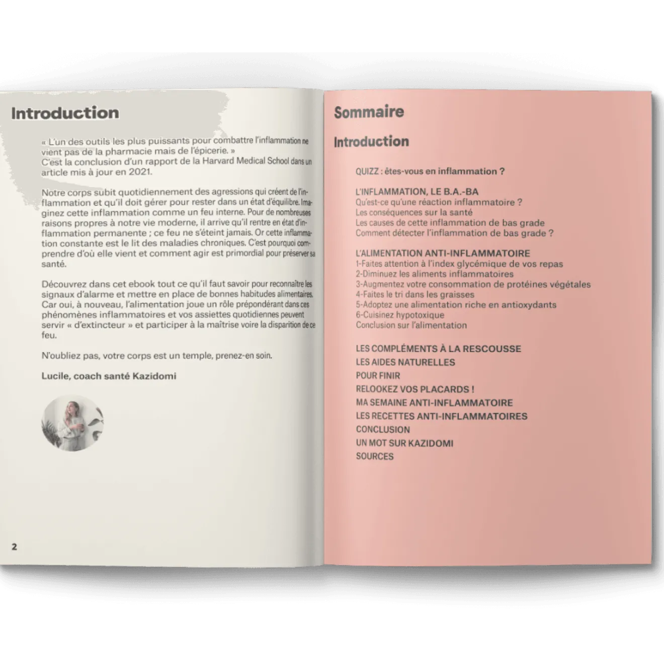 Ebook : Guide de l’Alimentation anti-inflammatoire