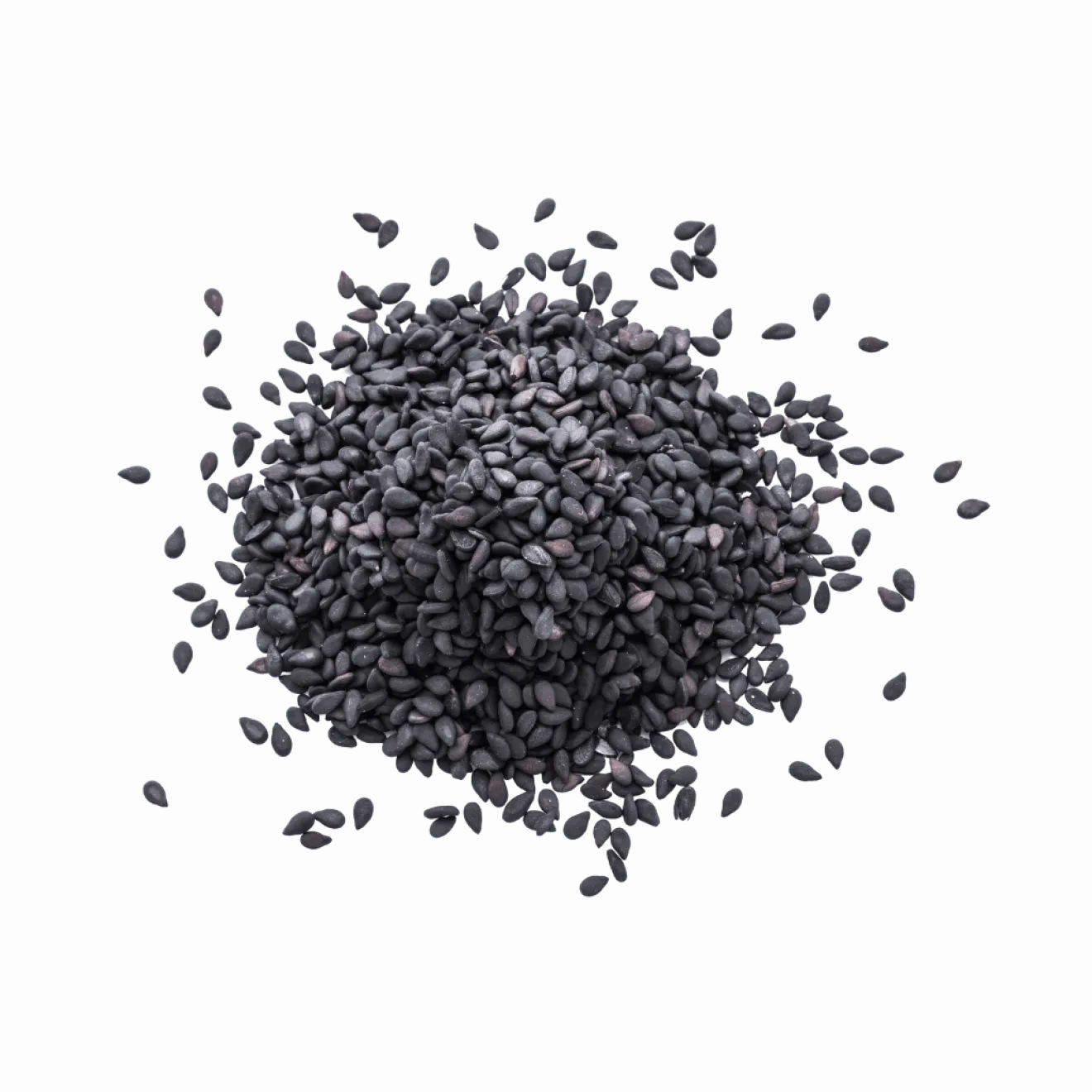 Graines de Sésame Noir Bio