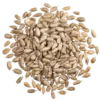 Graines de Tournesol en Vrac Bio