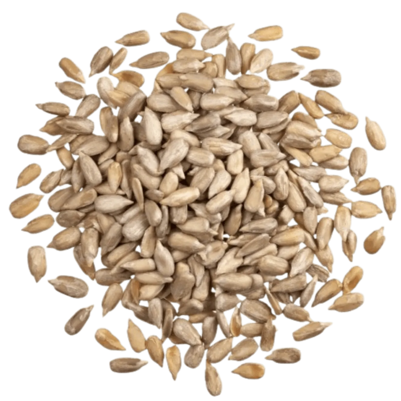 Graines de Tournesol en Vrac Bio