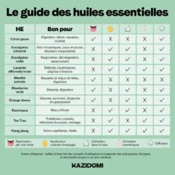 Huile essentielle Eucalyptus Radié (voies respiratoires) Bio