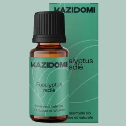 Huile essentielle Eucalyptus Radié (voies respiratoires) Bio