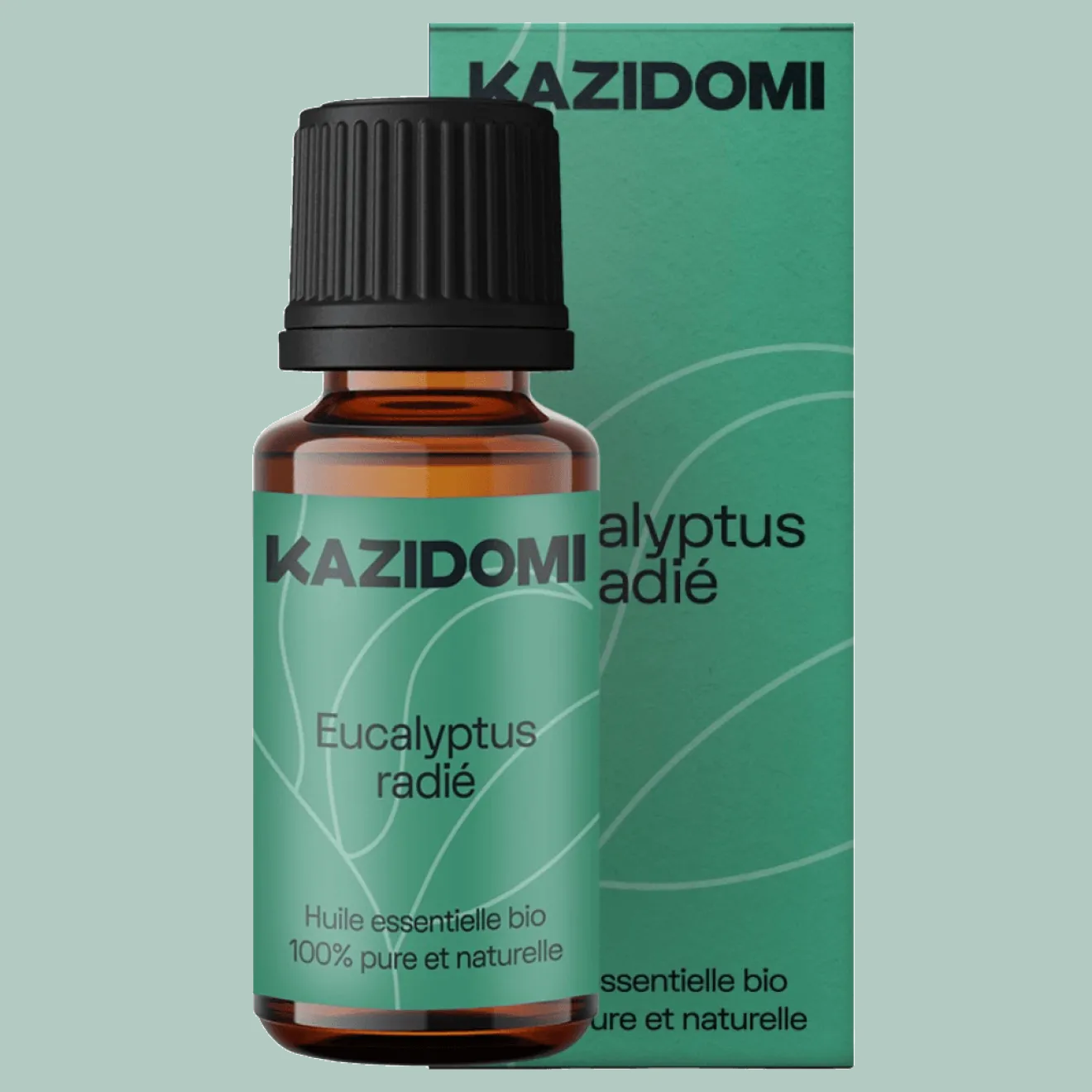 Huile essentielle Eucalyptus Radié (voies respiratoires) Bio