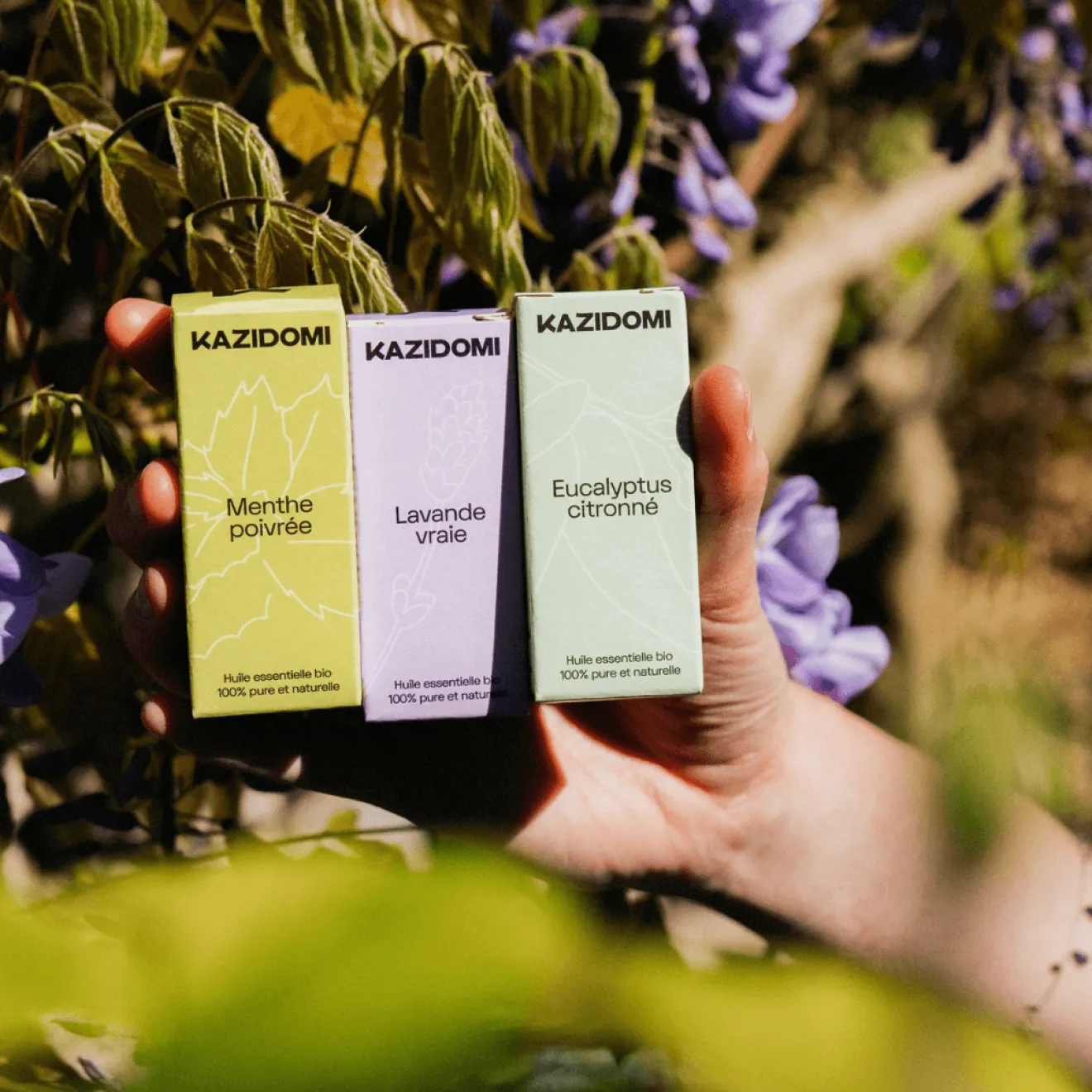 Huile essentielle Lavande Officinale Bio