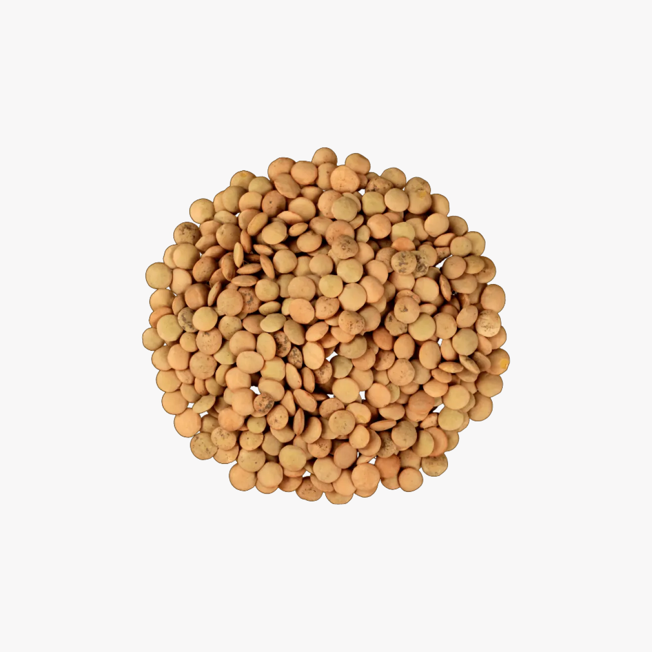 Lentilles Brunes en vrac Bio