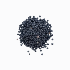 Lentilles Noires Beluga en vrac Bio