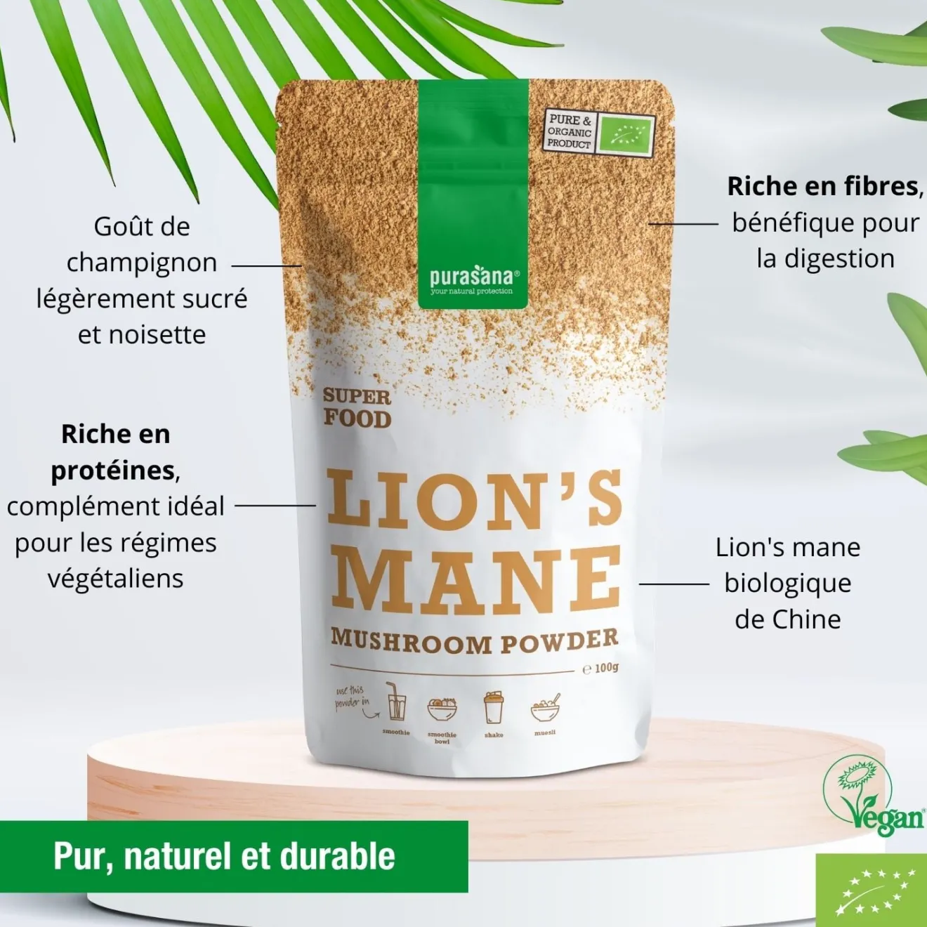 Lion's mane poudre Bio