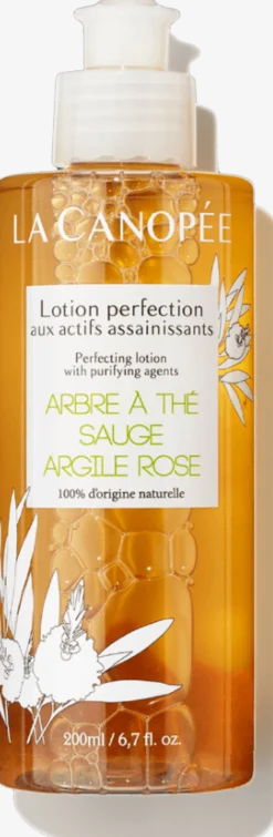 Lotion Perfection Actifs Assainissants