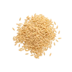 Orzo de Blé en vrac Bio