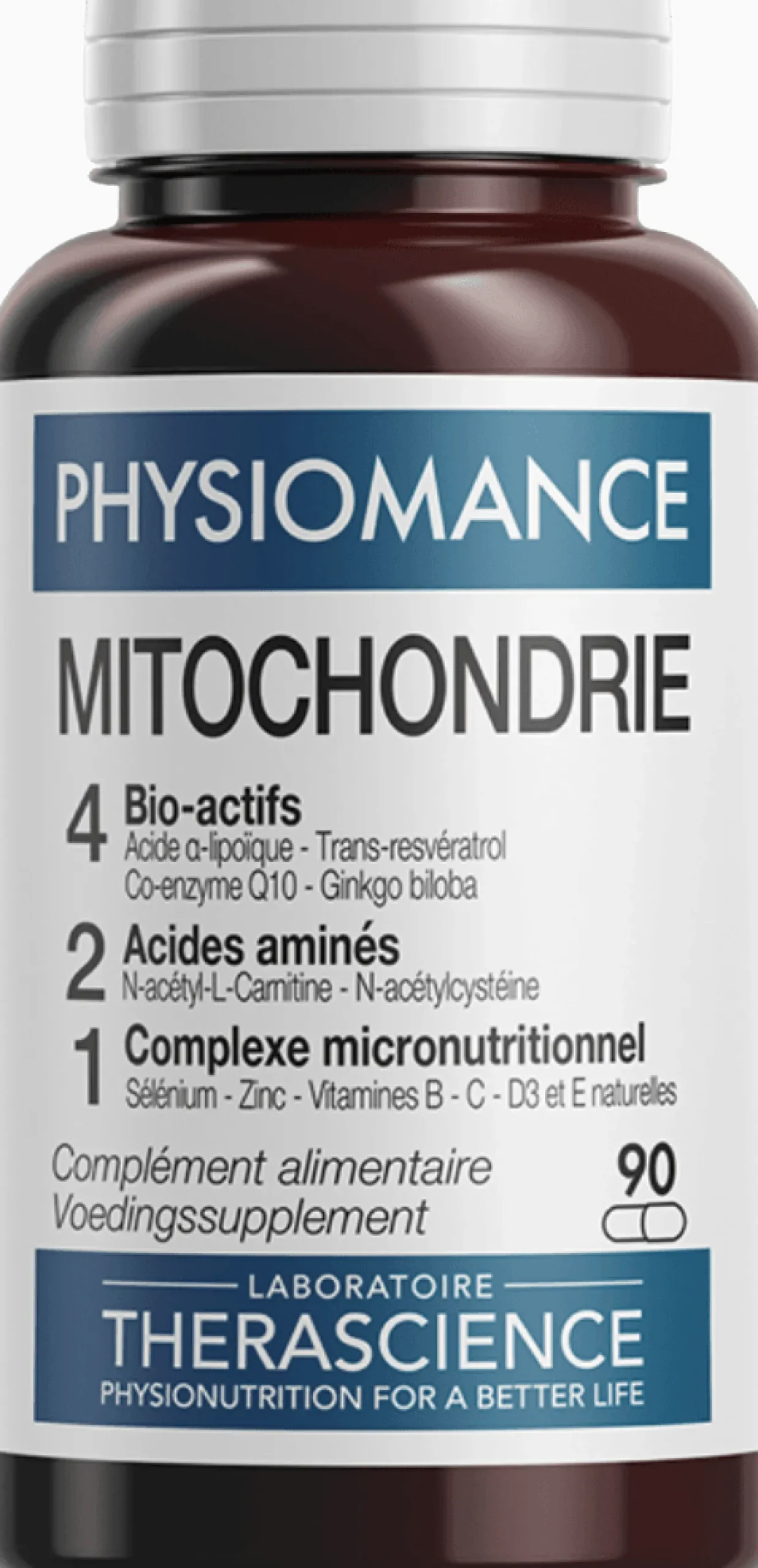 Physiomance Mitochondrie