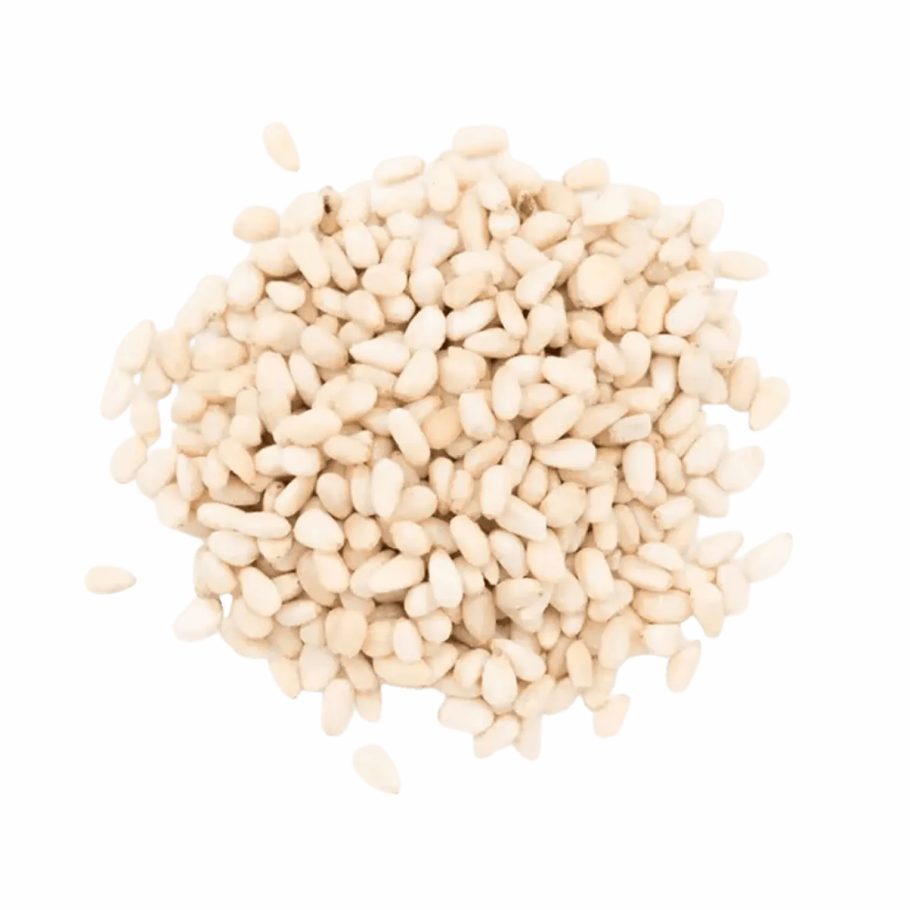 Pignons De Pin en vrac Bio