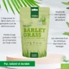 Poudre jus d'herbe d'orge Bio