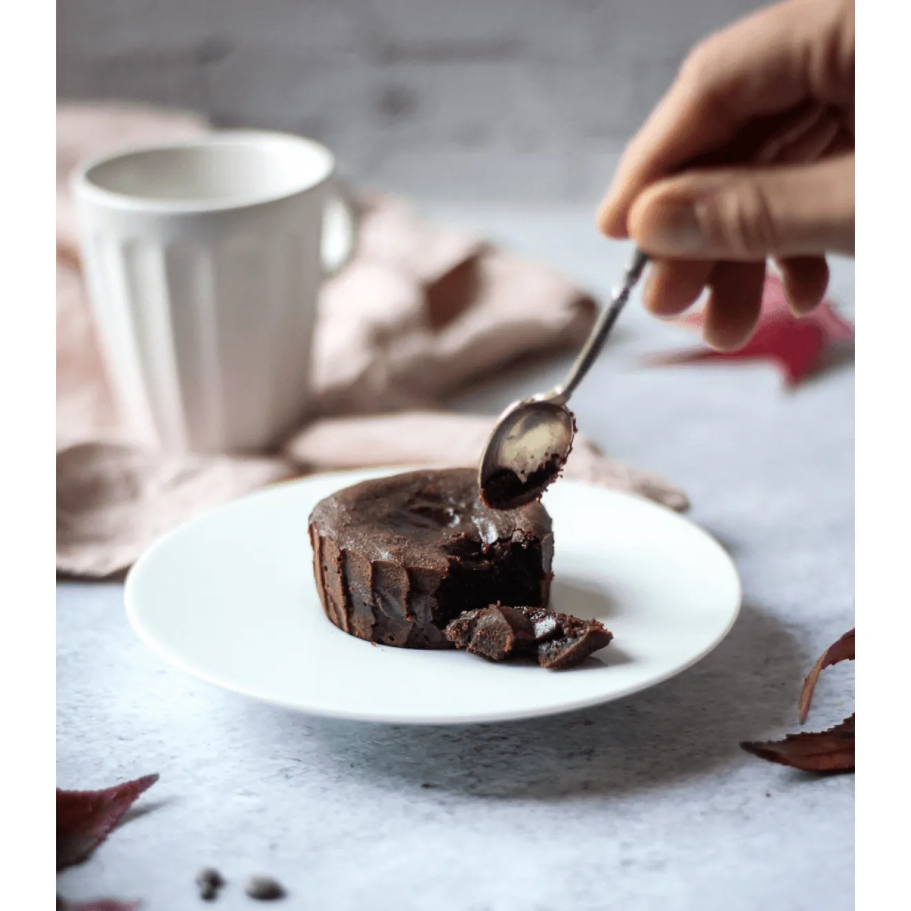 Préparation Fondant Chocolat Bio