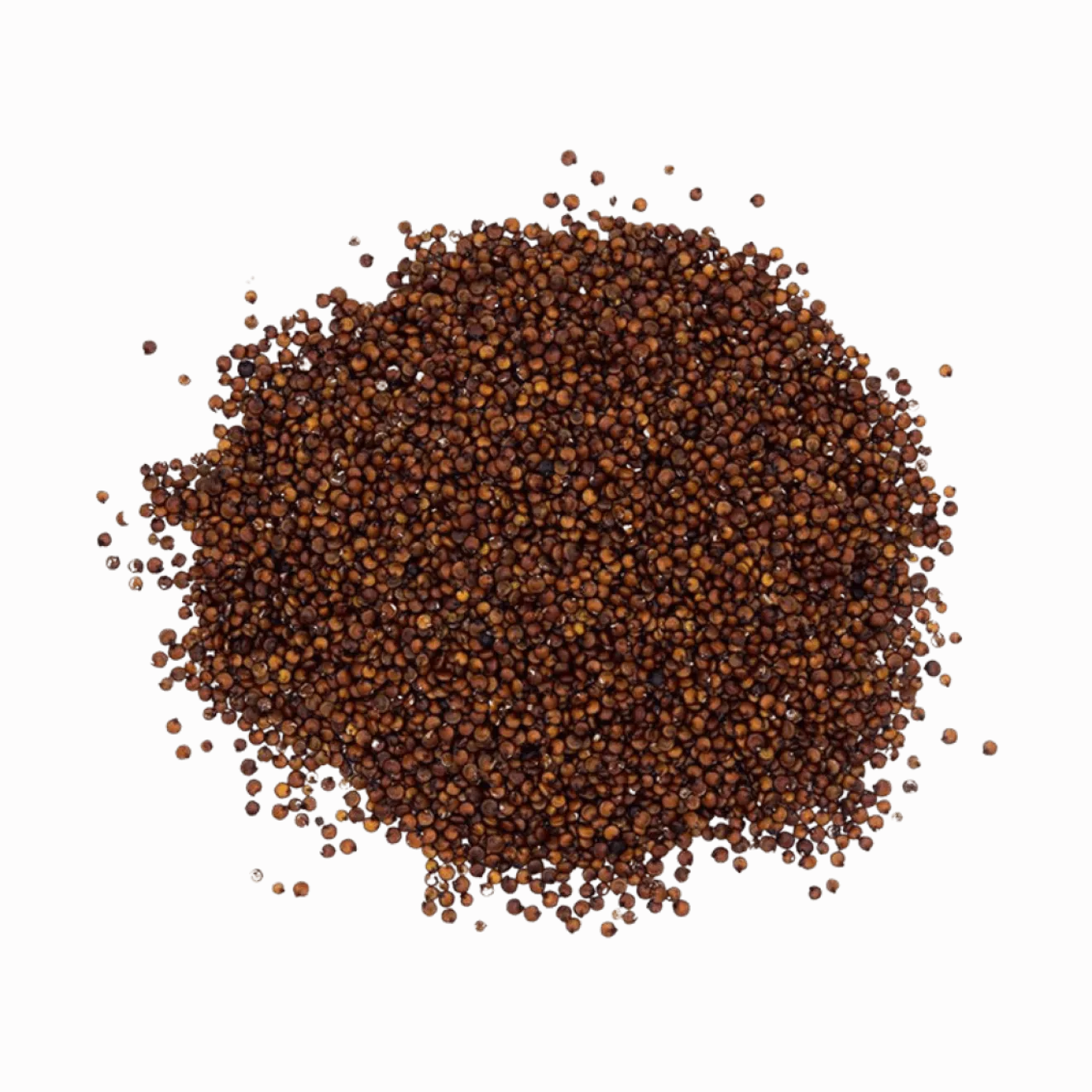 Quinoa rouge Bio