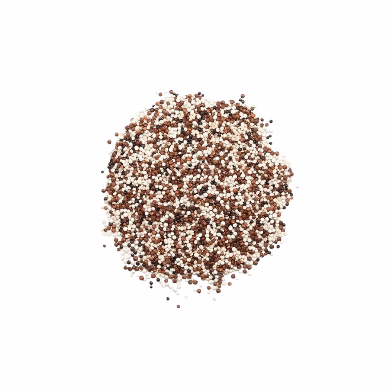 Quinoa tricolore en vrac Bio