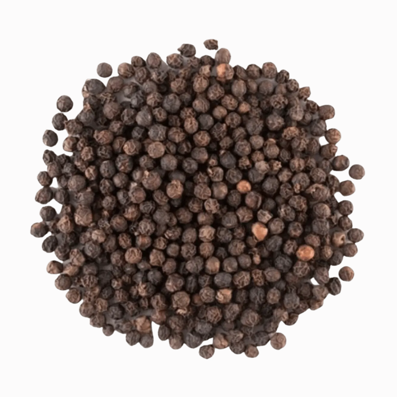 Recharge Poivre Noir Grains Bio