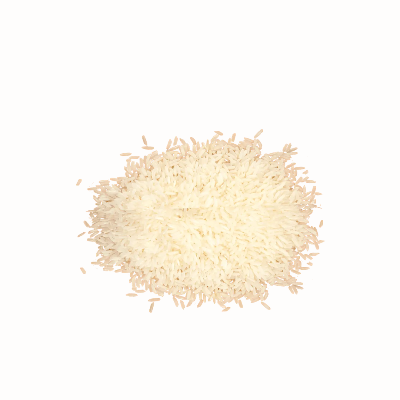 Riz basmati blanc en vrac Bio