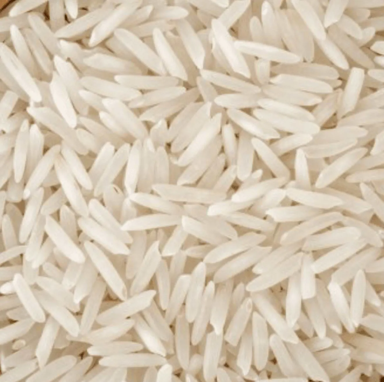 Riz Jasmin Thai Complet Bio