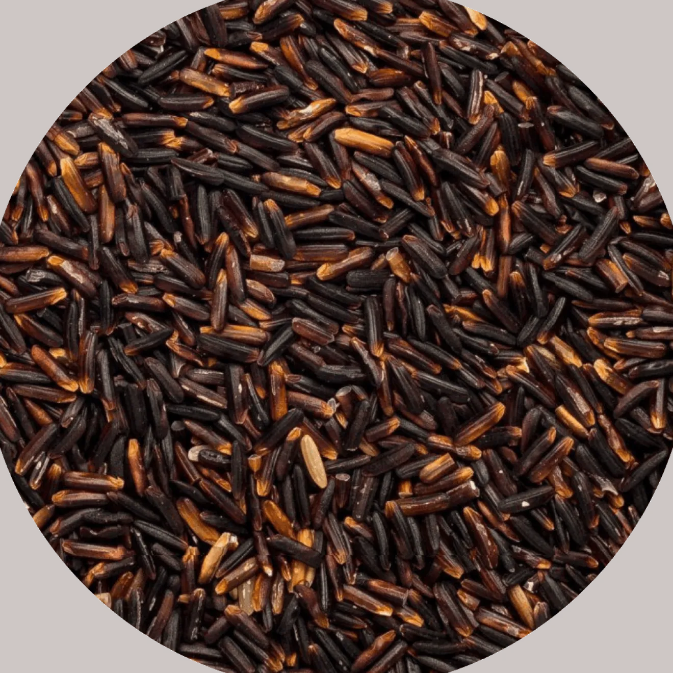 Riz Jasmin Thaï Noir Bio