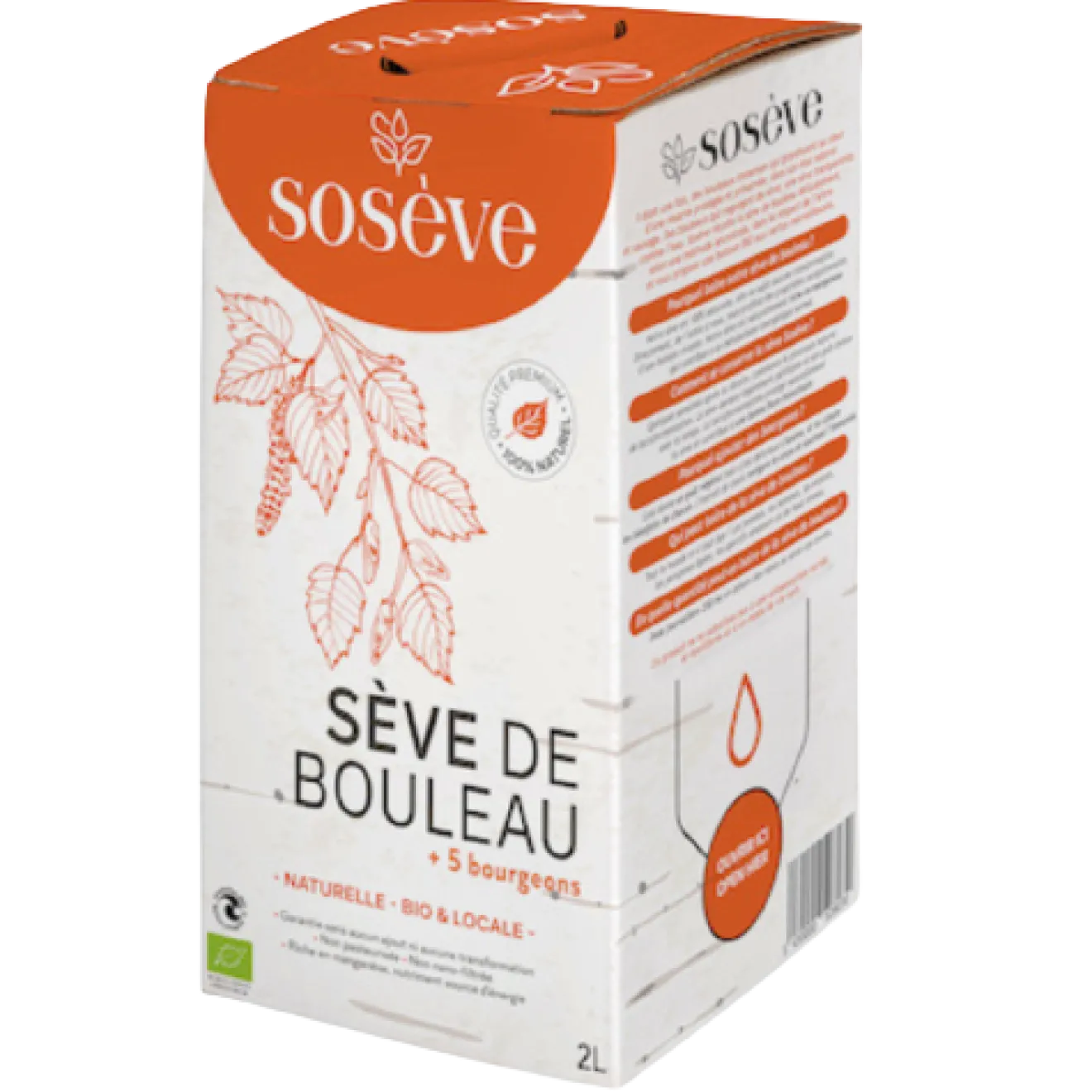 Sève de Bouleau Lactofermentée 5 Bourgeons Bio