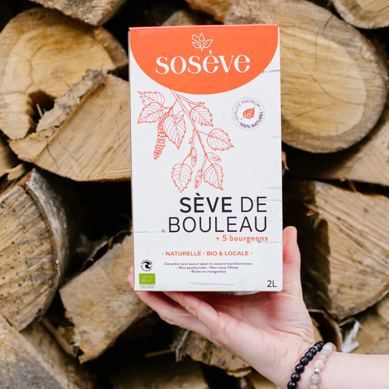Sève de Bouleau Lactofermentée 5 Bourgeons Bio