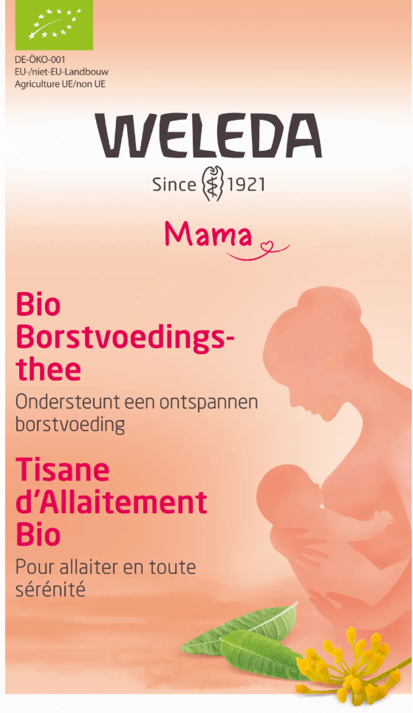 Tisane Allaitement Bio