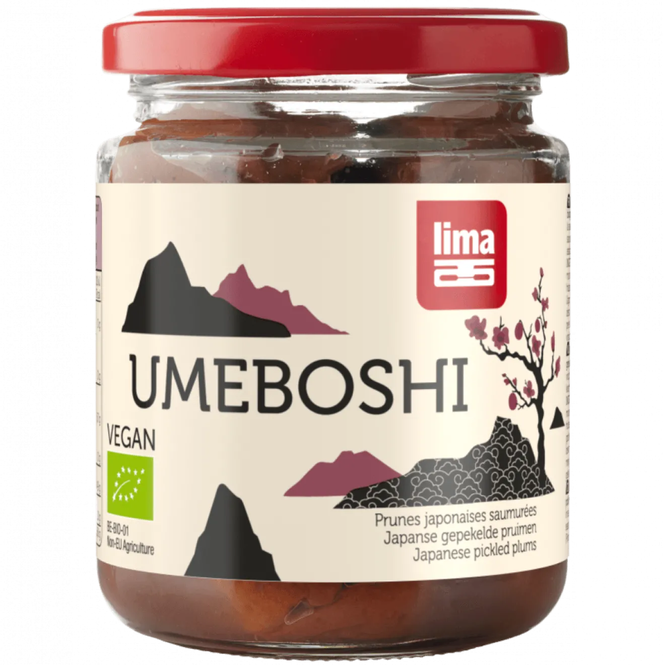 Umeboshi Prune Bio