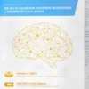 Zenergy - Magnesium biodisponible (800mg) - B9 - B12 actives